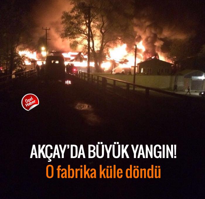 Akçay'da büyük yangın