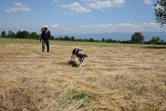 8.Fermalı av köpekleri yarışması hafta sonu yapılacak