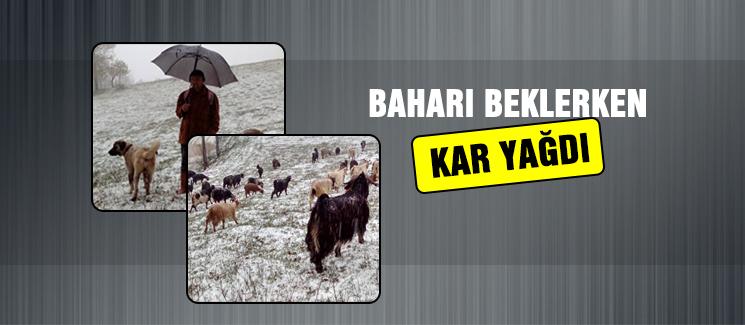 Baharı beklerken kar yağdı