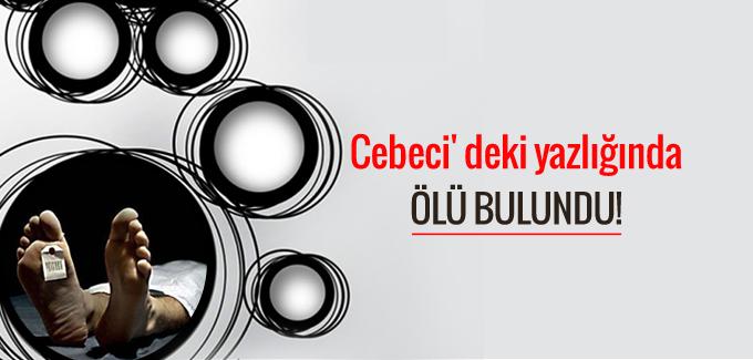 Cebeci'deki yazlığında ölü bulundu