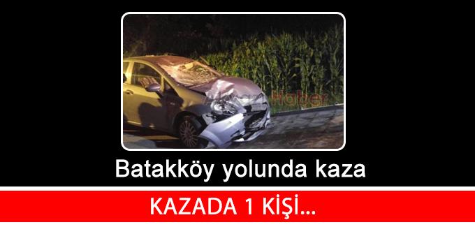 Batakköy yolunda kaza