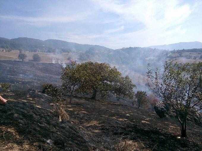 Anız yangını korkuttu