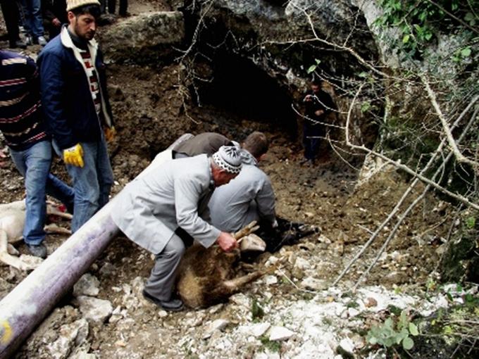 Suyun başında kurbanlar kesildi
