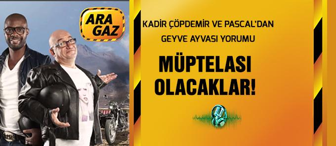 "Ruslar, Geyve Ayvasının müptelası olacaklar"