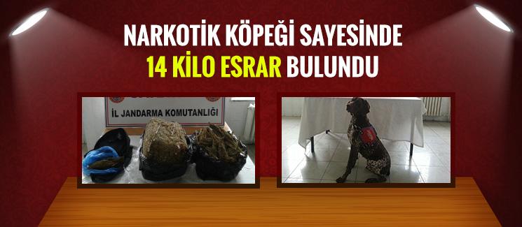 Narkotik köpeği sayesinde 14 kilo esrar bulundu