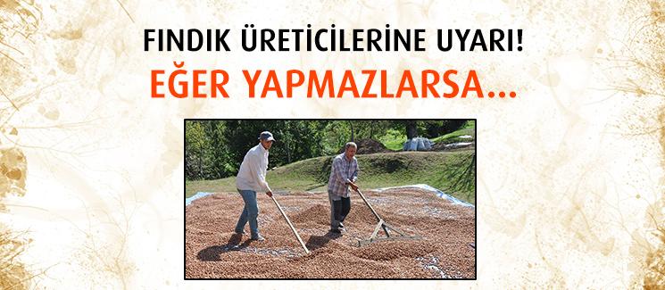 Fındık üreticilerine son uyarı!