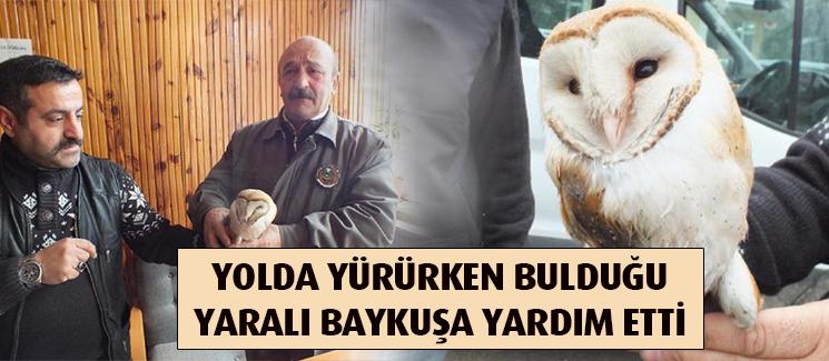 Yolda yürürken yaralı baykuş buldu