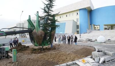 Yeni Vilayet Binası, Yeşille Bütünleşti 