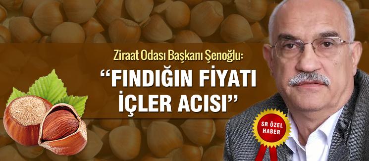 "Fındığın durumu içler acısı"