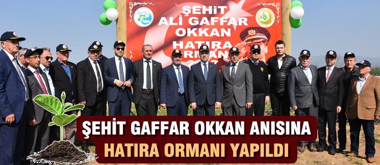 Şehit Gaffar Okkan anısına hatıra ormanı