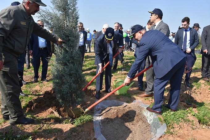 Şehit Gaffar Okkan anısına hatıra ormanı