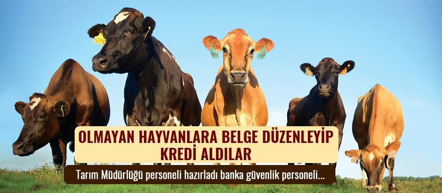 Olmayan hayvanlara belge düzenleyip...