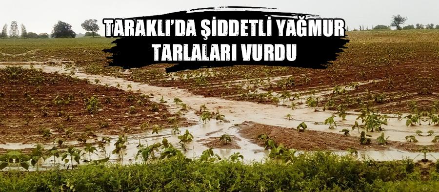 Şiddetli yağmur yolları ve tarlaları vurdu