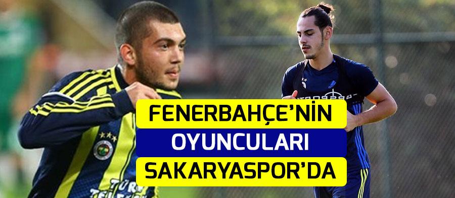 Sakaryaspor'a Fenerbahçe'den transfer