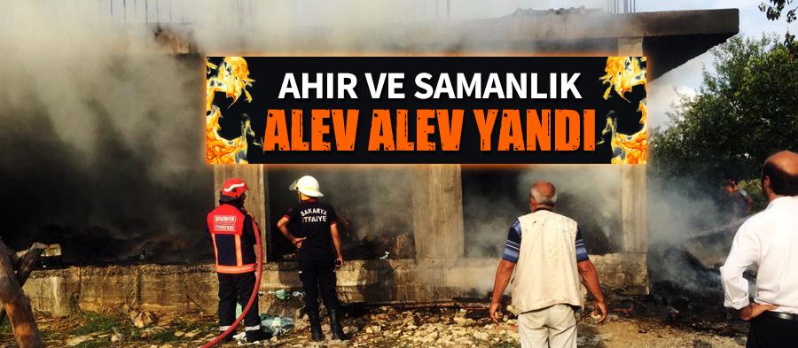 Ahır ve samanlık alev alev yandı