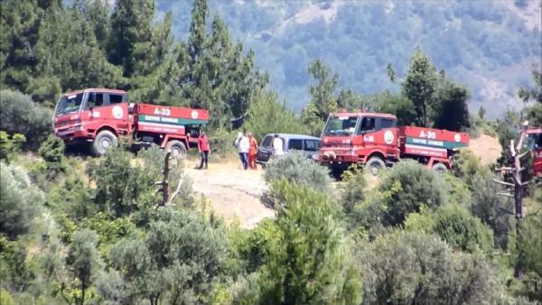 Pamukova'da 10 dönüm ormanlık alan yandı