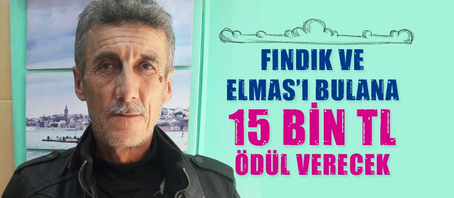 Fındık ve Elması bulana 15 Bin TL ödül
