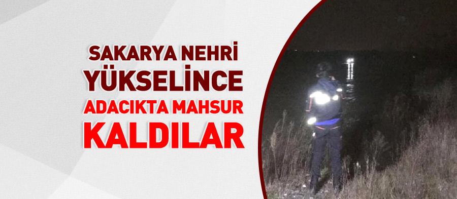 Sakarya Nehri yükselince adacıkta mahsur kaldılar