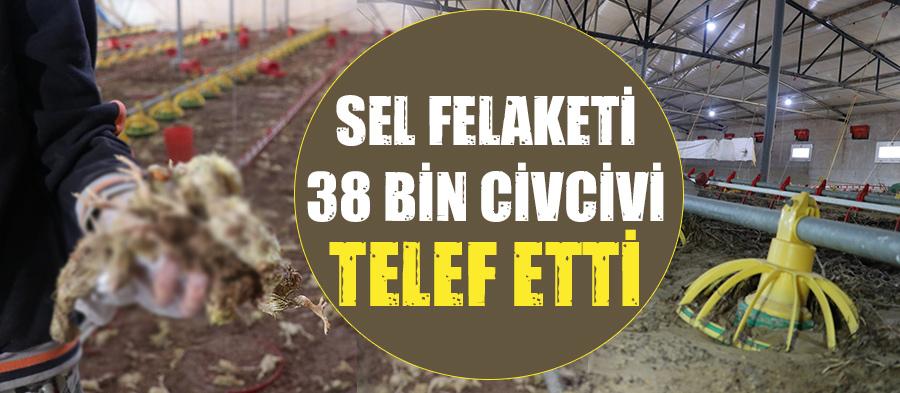 Kaynarcadaki sel felaketi 38 bin civcivi telef etti