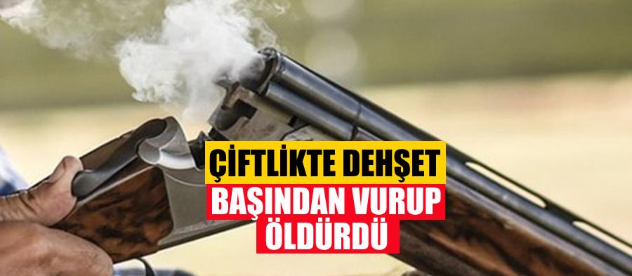 Hendek'te cinayet