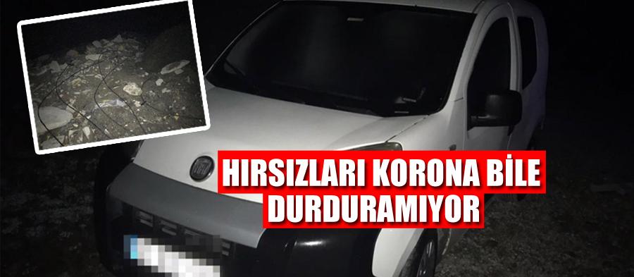 Hırsızları korona bile durduramadı