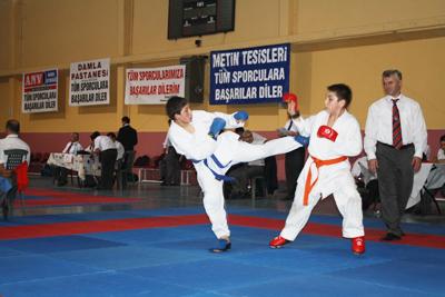 Karate Müsabakaları Pamukova'da Yapıldı