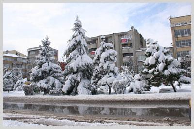 Son Son Kar Keyfini Çıkaranlar...