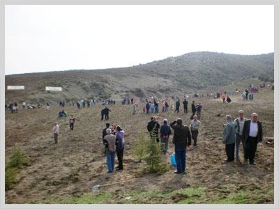 'Ağaçlandırma Seferberliği Kampanyası' 