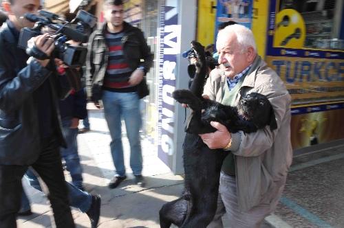 Dar Sokak'ta köpek saldırısına ateş açıldı!