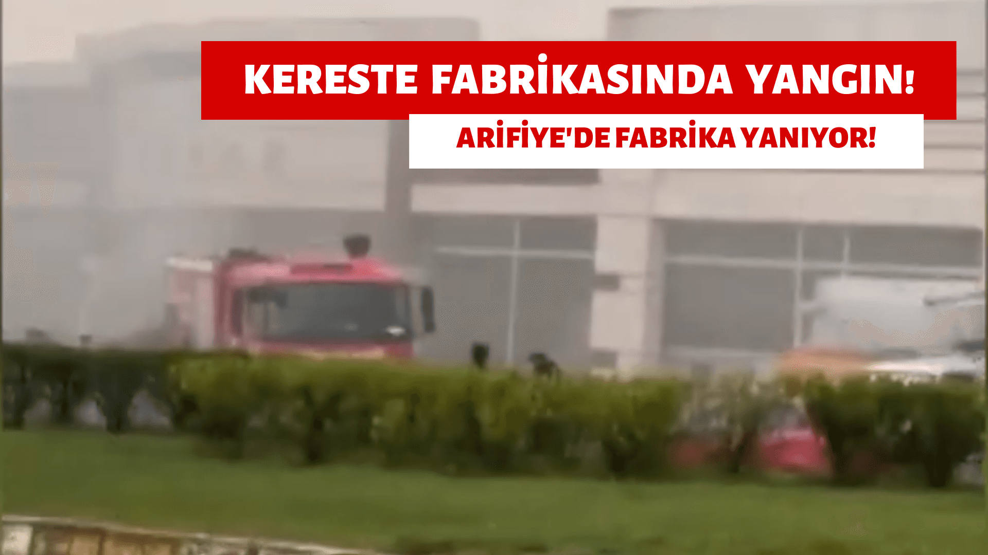 Arifiye'de Yangın, Kereste Fabrikası Yanıyor!