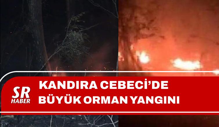 Cebeci'de Orman Yangını; 15 Dönümlük Alan Kül Oldu
