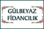 Gülbeyaz Peyzaj Ltd. Şti.