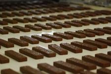 Söğütlü'ye çikolata fabrikası açılıyor
