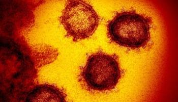 DSÖ'den koronavirüsün yeni türüne karşı çağrı