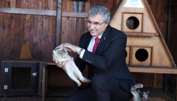 Büyükşehir Sokak Hayvanları Rehabilitasyon Merkezi tamamlanıyor