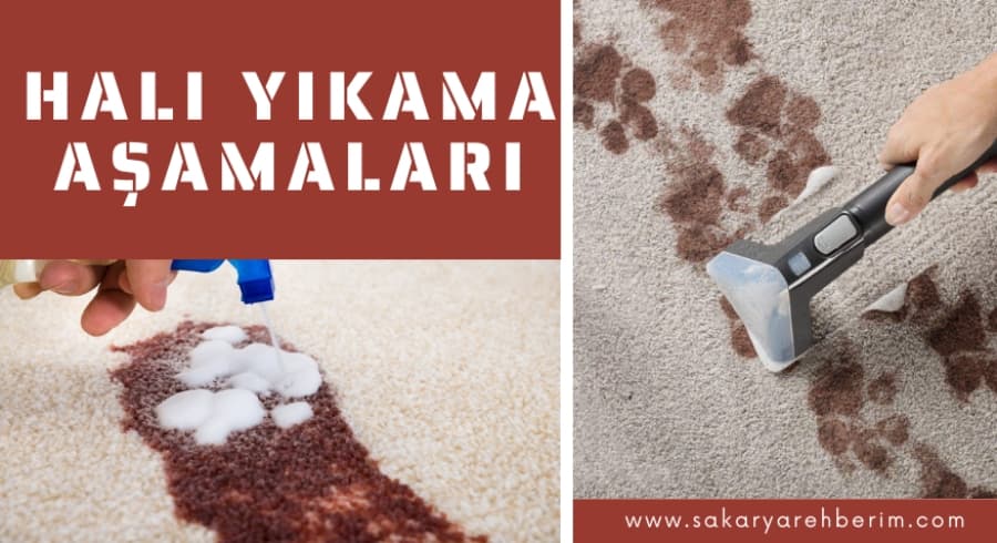 <p><img alt="" src="https://www.sakaryarehberim.com/pictures/haber_detay/resim211052LUSbh.jpeg" /></p>
<p><strong>HALI YIKAMA AŞAMALARI NELERDİR</strong></p>
<p>Halı yıkama firmaları, öncelikle halıları toz alma dolaplarında ya da detaylı süpürme işlemi yapan aletler ile tozlarını alırlar. Sonrasında halı yıkama işlemine geçilir. Halıya uygun olan şampuan ve ilaç karışımları kullanılarak halıdaki mikroplar ve bakterilerden arındırılır. Oluşan köpüklerin halı diplerine girebilmesi için yarı otomatik veya tam otomatik cihazlardan yardım alınır. İlaçları olabildiğince halıya geçirebilen cihazlar sayesinde halı en temiz haline gelmektedir. Halı yıkama işleminden sonra halılar köpüklerden arındırılır. Kurutma işlemi için kurutma odalarına alınır. Kurutulan halılar paketlenerek tekrar müşterilere ulaştırmak üzere yola çıkar.</p> <p><img alt="" src="https://www.sakaryarehberim.com/pictures/haber_detay/resim211052LUSbh.jpeg" /></p>
<p><strong>HALI YIKAMA AŞAMALARI NELERDİR</strong></p>
<p>Halı yıkama firmaları, öncelikle halıları toz alma dolaplarında ya da detaylı süpürme işlemi yapan aletler ile tozlarını alırlar. Sonrasında halı yıkama işlemine geçilir. Halıya uygun olan şampuan ve ilaç karışımları kullanılarak halıdaki mikroplar ve bakterilerden arındırılır. Oluşan köpüklerin halı diplerine girebilmesi için yarı otomatik veya tam otomatik cihazlardan yardım alınır. İlaçları olabildiğince halıya geçirebilen cihazlar sayesinde halı en temiz haline gelmektedir. Halı yıkama işleminden sonra halılar köpüklerden arındırılır. Kurutma işlemi için kurutma odalarına alınır. Kurutulan halılar paketlenerek tekrar müşterilere ulaştırmak üzere yola çıkar.</p>